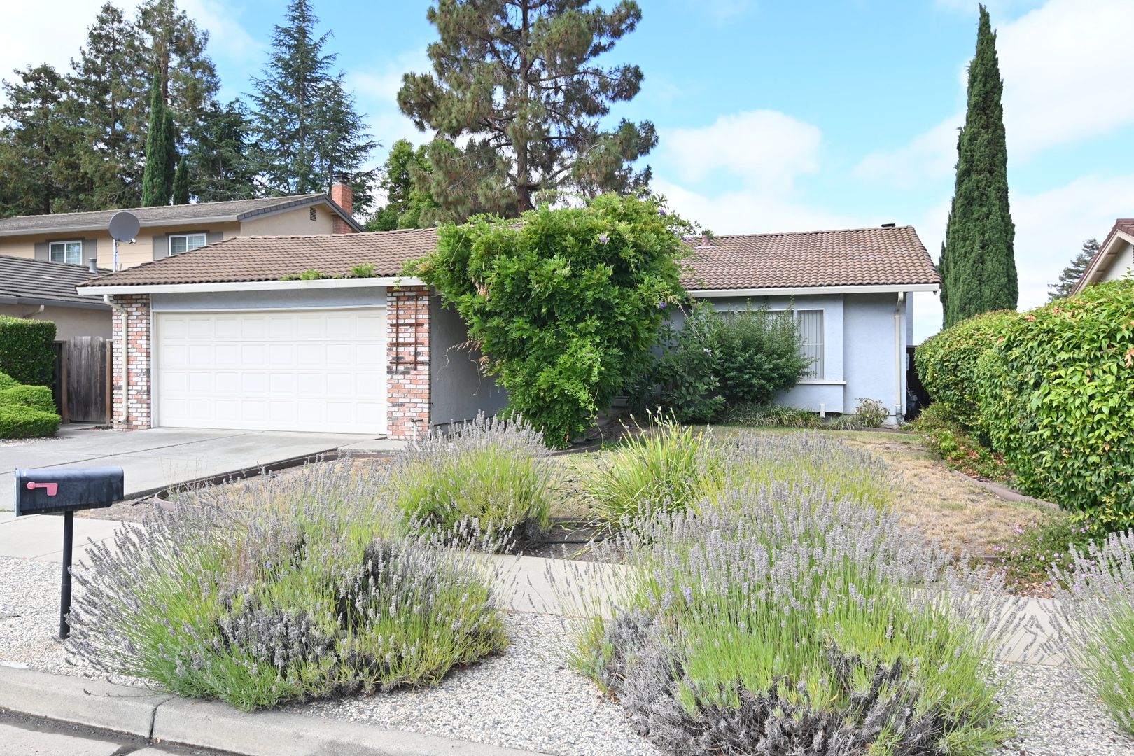 3BR/2BA Home Tour in Fremont, CA 94539 | Near Mission Peak | Available Now!