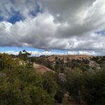 Property Management in Los Altos, CA